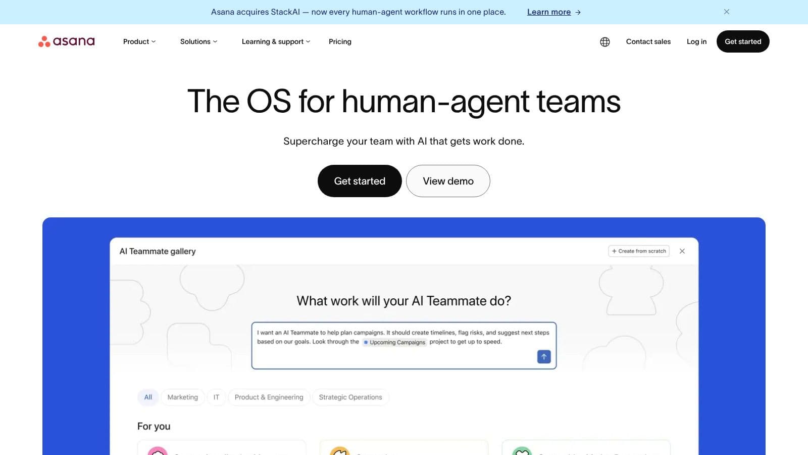 Asana (Asana Intelligence + AI Studio)